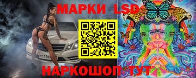 гидра Кингисепп