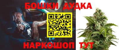 индика Конаково