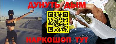 гидра Кингисепп