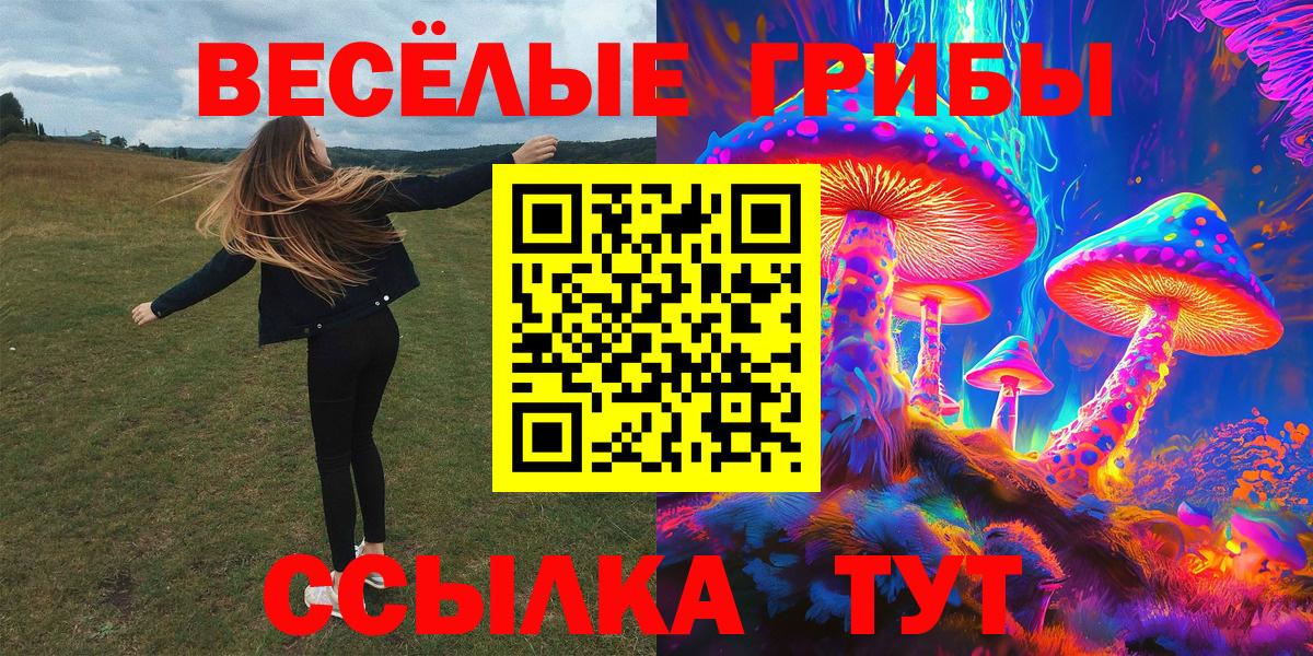 Галлюциногенные грибы Psilocybine cubensis Чапаевск